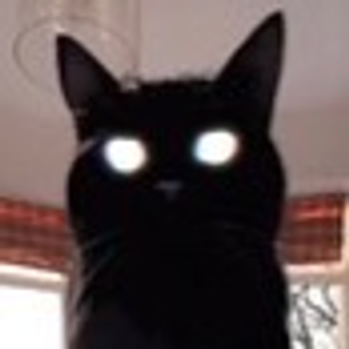 alternate-account-4's profile picture