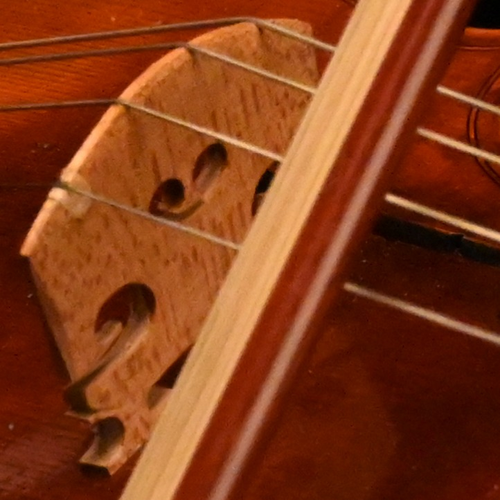 altoclef's profile picture