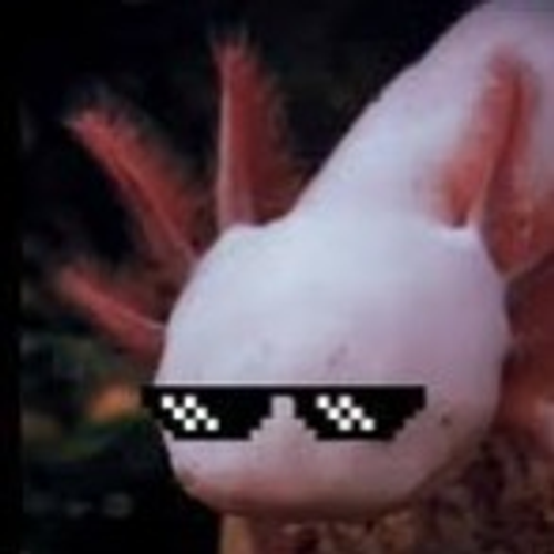 axolotl's profile picture