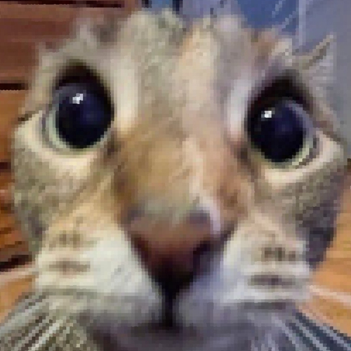 bwah's profile picture