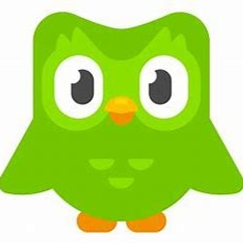 duolingo's profile