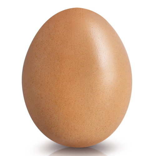 egg's profile picture