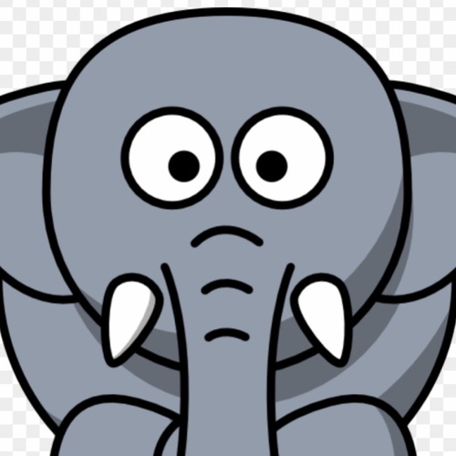 elephant's profile picture