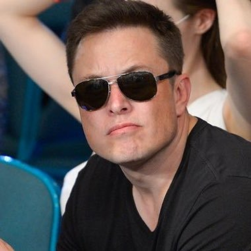 elonmuskk's profile picture