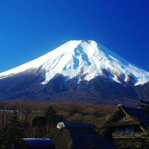 fuji's profile