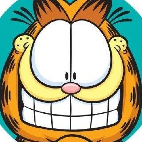 garfield's profile picture