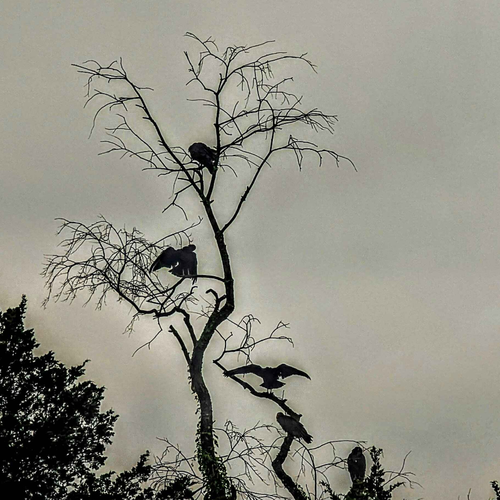 hiwastaken's profile picture