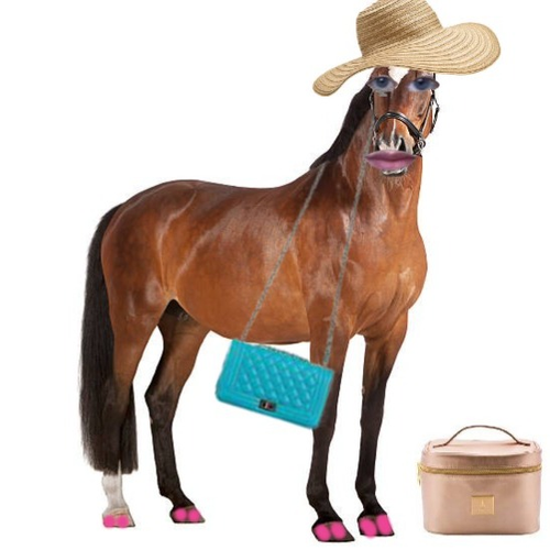 horseandthemakeupbag's profile picture