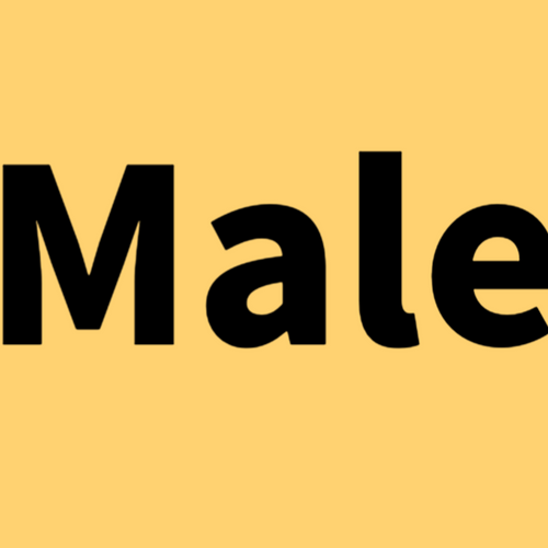 male's profile picture