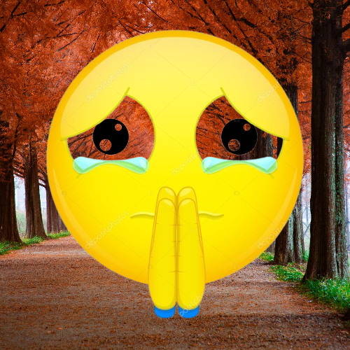 mhastmixing's profile picture