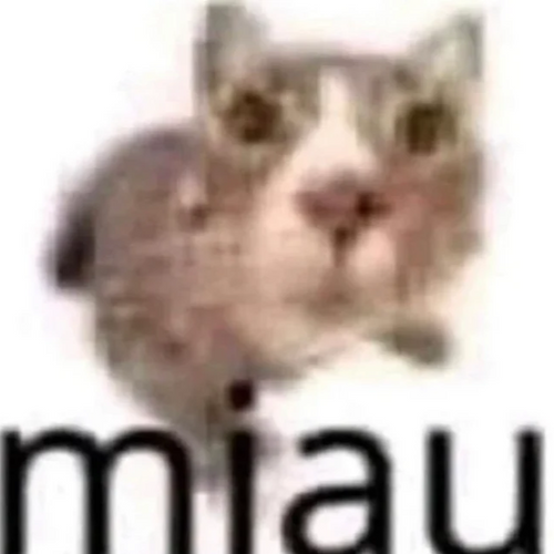 miau's profile picture