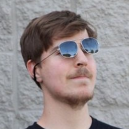 mr-beast's profile picture