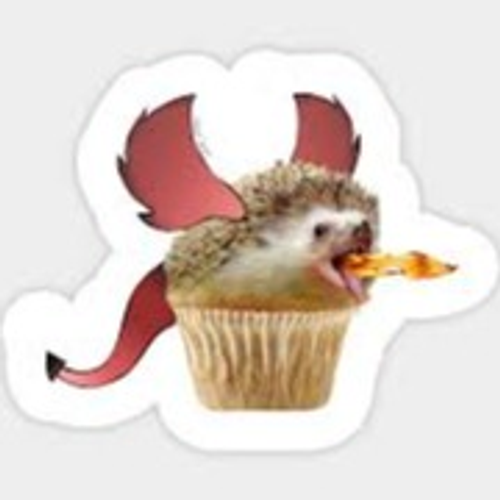 muffindragon's profile picture