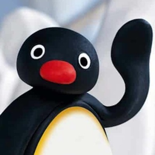 pingu's profile picture