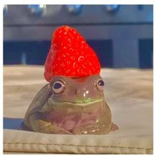 strawberry_froggg's profile picture