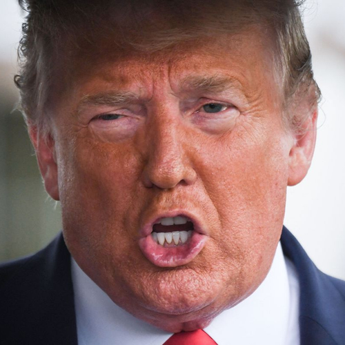 therealdonaldtrump's profile picture