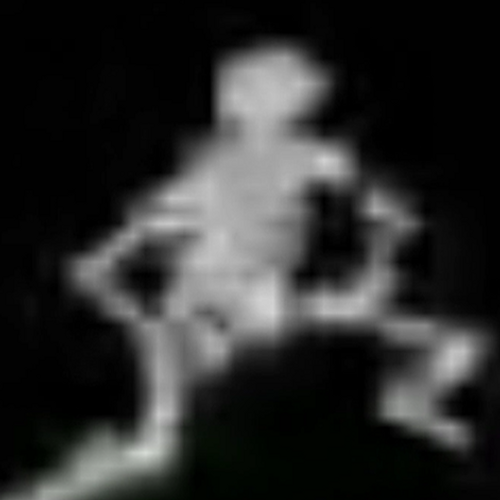 theskeleton's profile picture