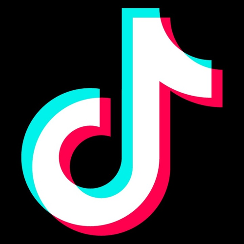 tiktok's profile picture