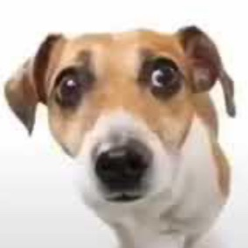 twyxisfat's profile picture