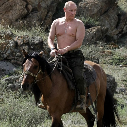 vladamir_putin's profile picture