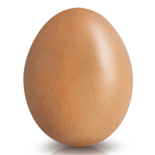 world_record_egg's profile picture